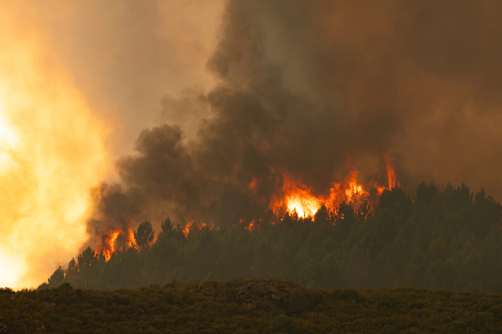 Face aux incendies d’une ampleur exceptionnelle en France, le CNEF appelle à l&rsquo;intercession