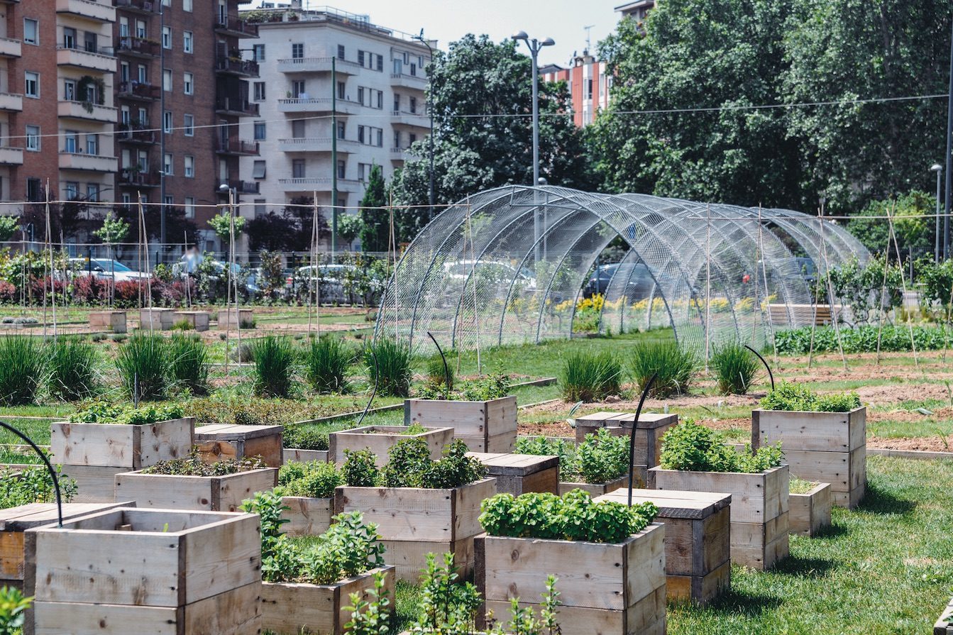 Potager urbain avec serre et bacs à légumes.