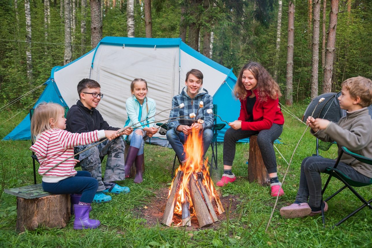 des guimauves en camping dans une forêt d'été. Les tentes de camping sont vues en arrière-plan. Vacances d'été en plein air