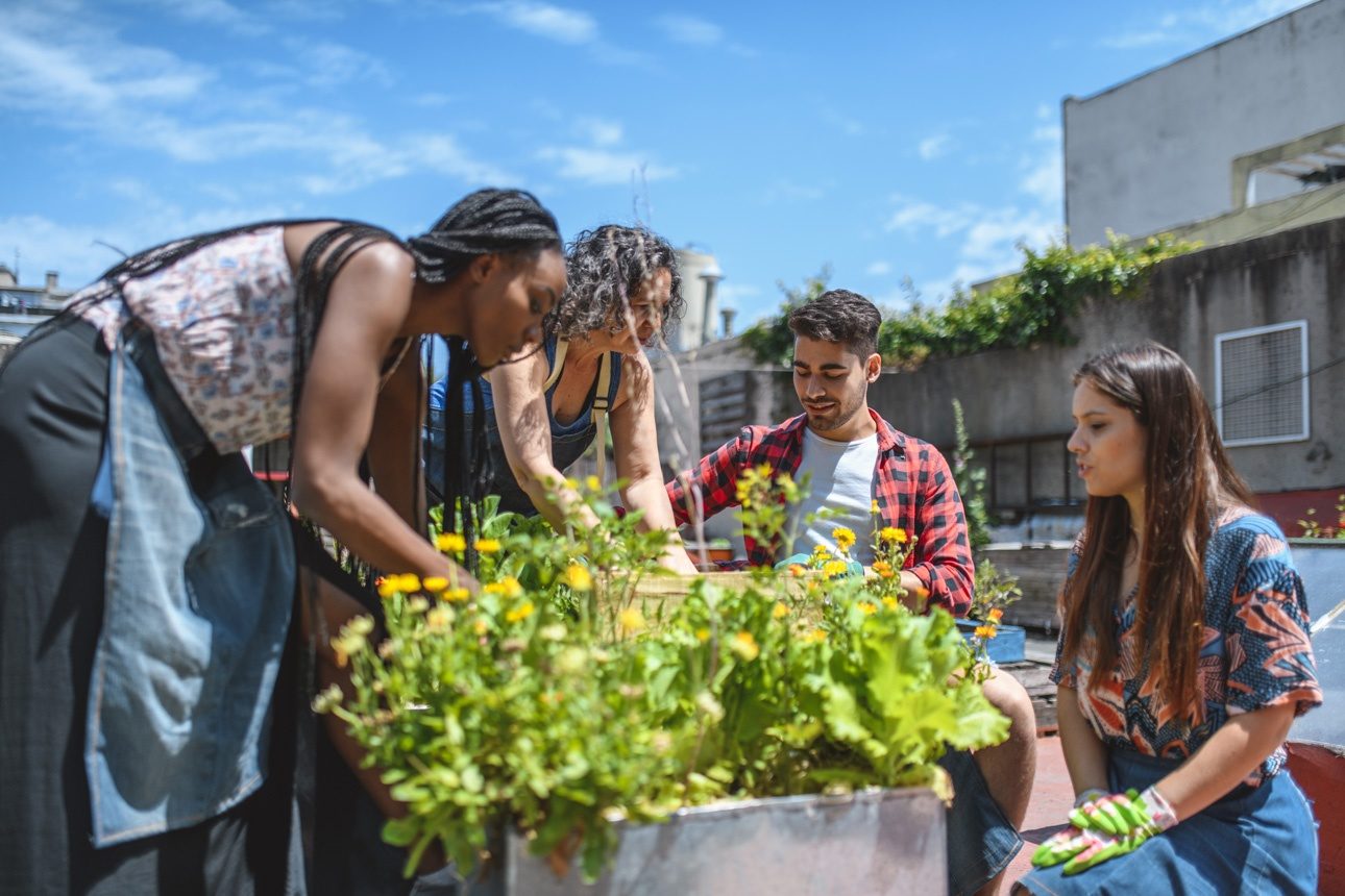 Une équipe de personnes s'entraidant pour faire un potager sur un toit