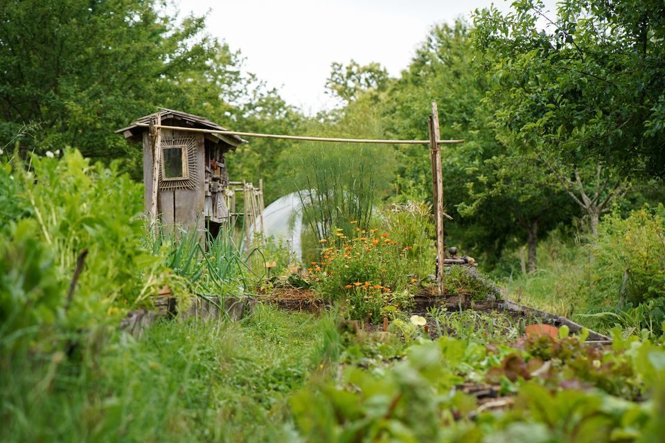 Le potager en permaculture de la Ferme de la Goursaline