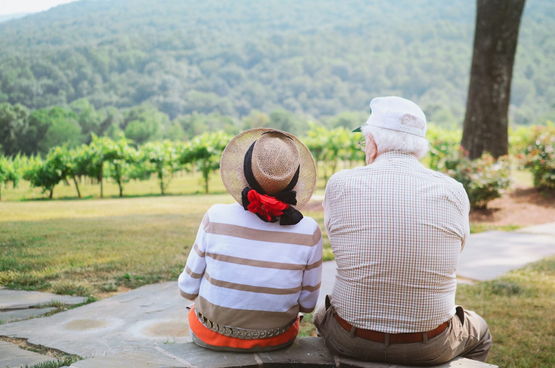 Couple âgé assis sur un banc, de dos, regardant au loin