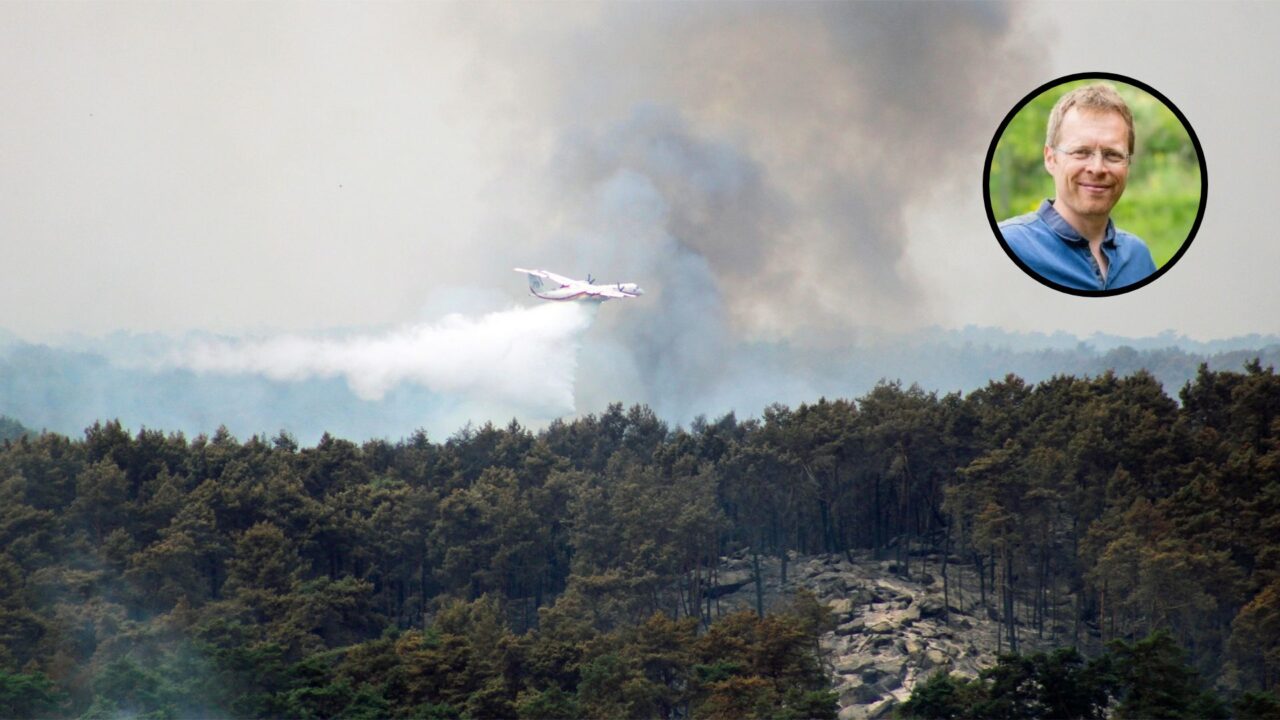 Avion bombardier d'eau luttant contre un incendie de forêt à Fontainebleau