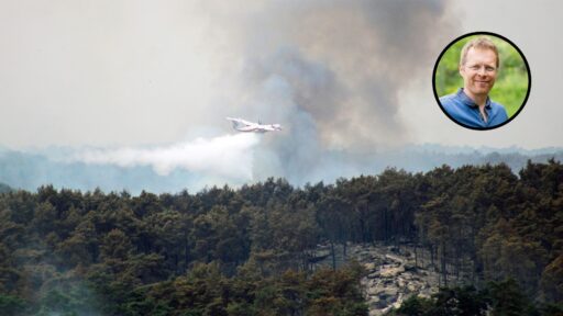 Avion bombardier d'eau luttant contre un incendie de forêt à Fontainebleau